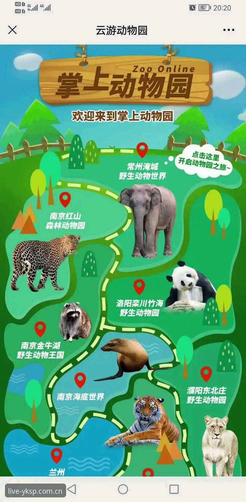 云开体育正版赛事 云开体育正版赛事观赛实用指南:老用户的独家经验分享